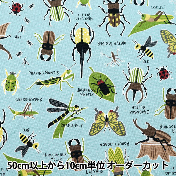 [Aus Menge 5] Stoff 『Oxford Buntes Canvas Insect Picture Book Blue Grey Cocan-Inc-Blg] KOKKA