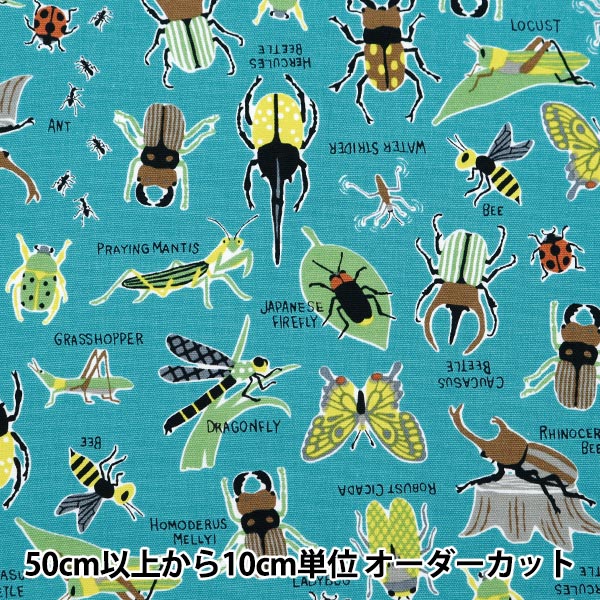 [Aus Menge 5] Stoff 『Oxford Buntes Canvas Insect Bilderbuch Turquoise Cocan-Inc-Ta] KOKKA