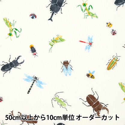 [From quantity 5] Fabric "CB Print Kids Land Insect pattern Off-White SP2311-14A"