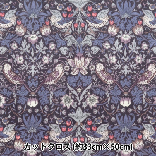 Tissu "Liberty tissu lamed Cut Cross Environ 33 × 50 cm Voleur de fraises RC3635061J23K" Liberty Japan Liberty Japan