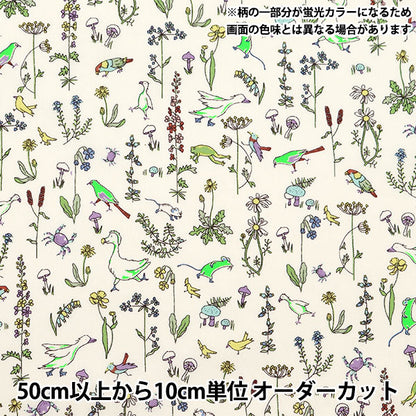 [Aus Menge 5] Liberty Fabric Neon Farbe Tanalone Senaon DC33635-J24d Liberty Japan Liberty Japan