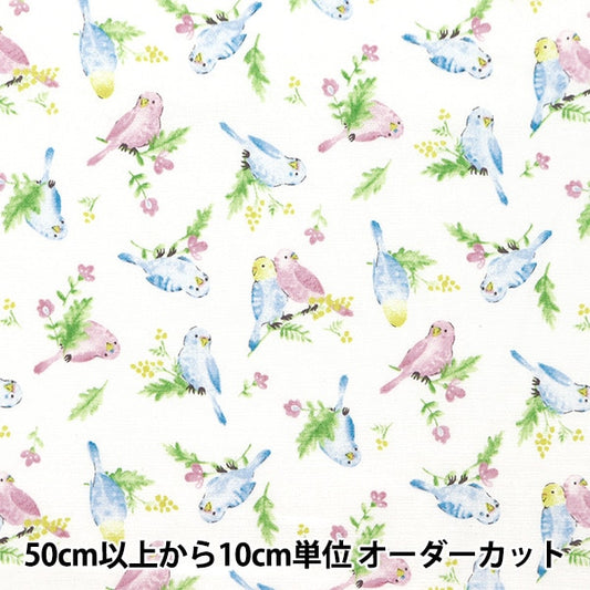 [From quantity 5] Fabric 『Sheeting Colorful canvas watercolor parakeet pattern White COCAN-BIR-WH] KOKKA