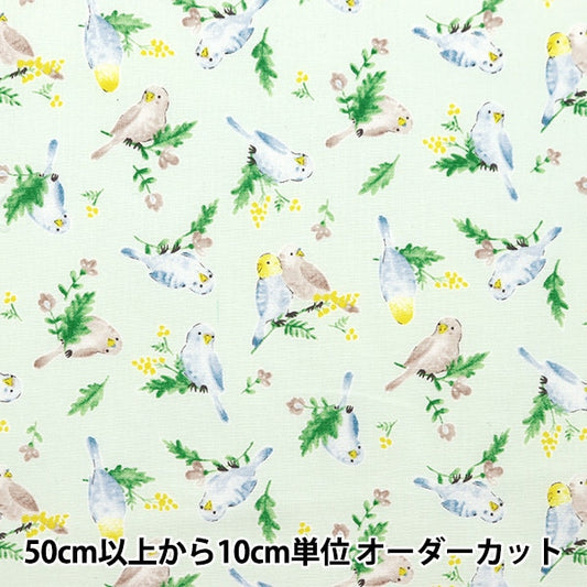 【数量5から】 生地 『シーチング カラフルキャンバス 水彩インコ柄 ライトミント COCAN-BIR-LMI』 KOKKA コッカ