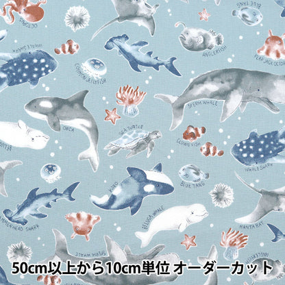 [From quantity 5] Fabric 『Oxford Colorful Canvas Sea Creatures Cocan-Sea-Gy " KOKKA