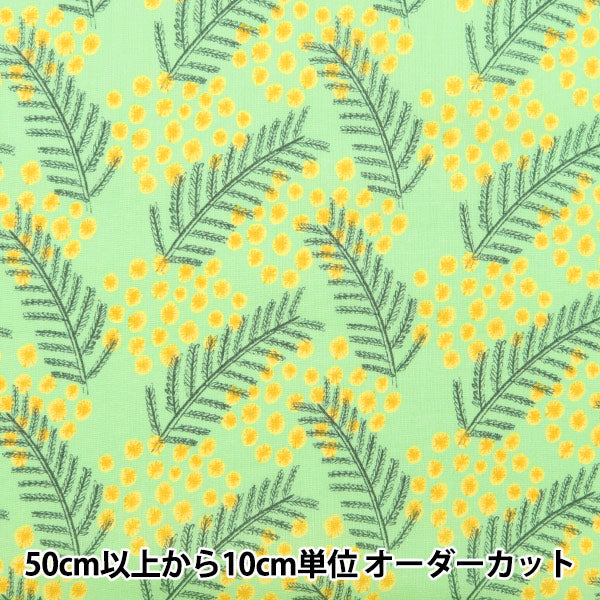 [From quantity 5] Fabric "Kippis (Kippis) Sheeting Mimosalite Green KPS-80B]