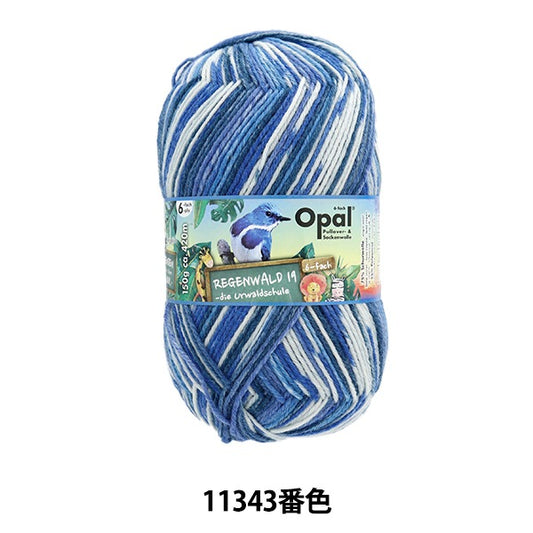 ソックヤーン 毛糸 『レーゲンヴァルト19 6ply 11343番色』 Opal オパール