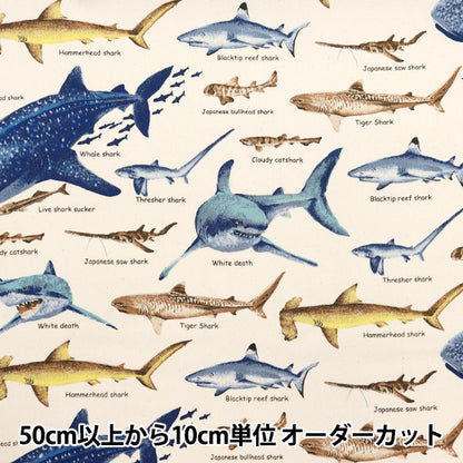 [수량 5에서] 천・원단 "Twill Print Shark Generation KTS7019-A" COTTON KOBAYASHI