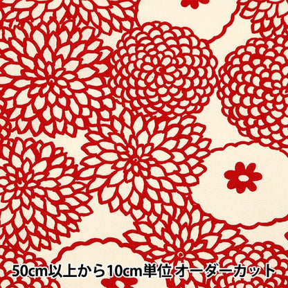 [From quantity 5] Fabric "Ukonoko cloth Southern Cross Deco Ivory x Red Up5924-A" COTTON KOBAYASHI