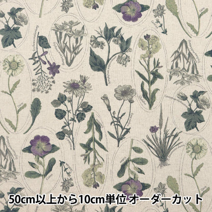 [From quantity 5] Fabric "Cotton linen canvas plant picture book Sepia purple clphen-sepp"