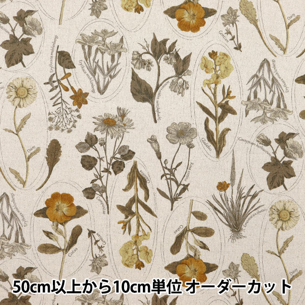 [From quantity 5] Fabric "Cotton linen canvas botanical picture book vitamin orange clphen-vior"