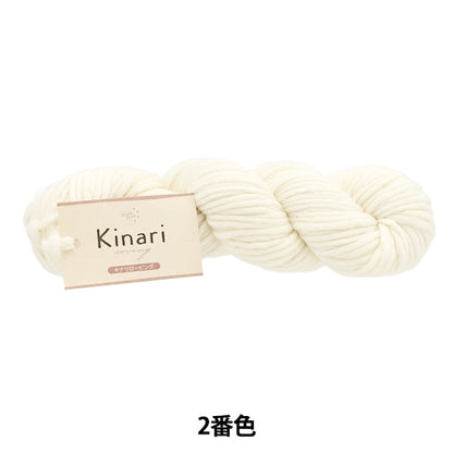 Herbst und WinterGarn "Kinari Laune Nr. 2 AY23208" World Festa World Festa