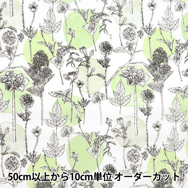 [De la quantité 5] Tissu "Hibiya Hanadai Floral Feuille de point géométrique motif vert hby-10007-gr"