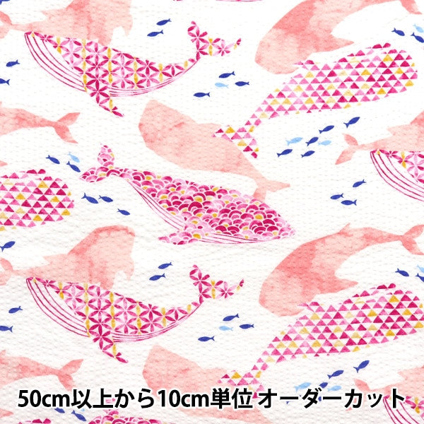 [From quantity 5] Fabric "Ripple Whale Ivory x Pink SO-58500-2B"