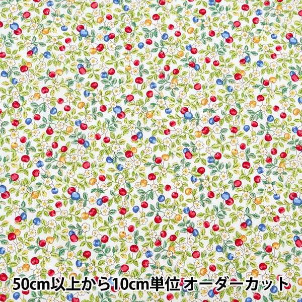 [From quantity 5] Fabric "Broad Find My Wooden Fruit Beige x Blue AP41405-2B"