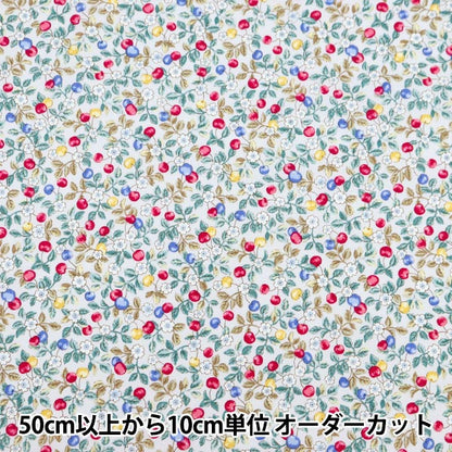 [From quantity 5] Fabric "Broad Find My Wooden Nuts Dulling Blue AP41405-2D"