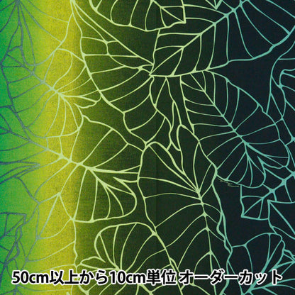 [Dalla quantità 5] tessuto "maunaroa t/c hawaii amprint gradation verde yfop3106"