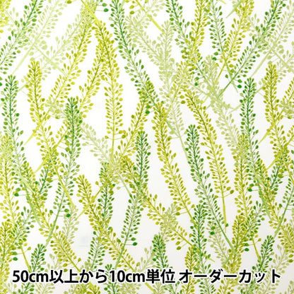 [De la quantité 5] Fabric "Hat Water Polyester Pattern Designer Maya Series Nazuna Inma-Naz-GG"