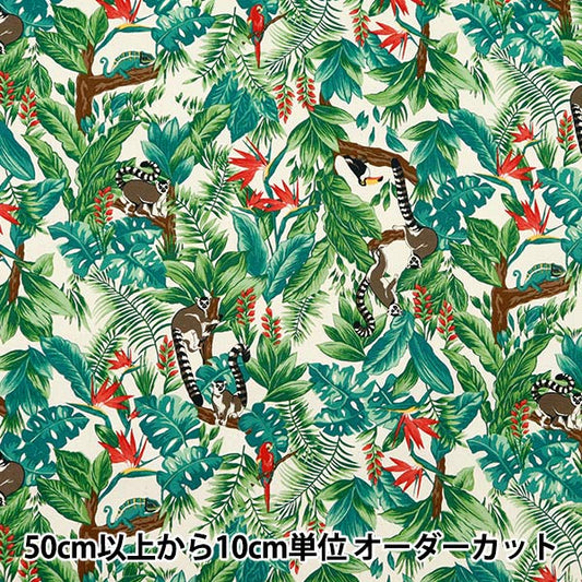 [De la cantidad 5] Fabric "oxtropical kinari AP42813-1b"