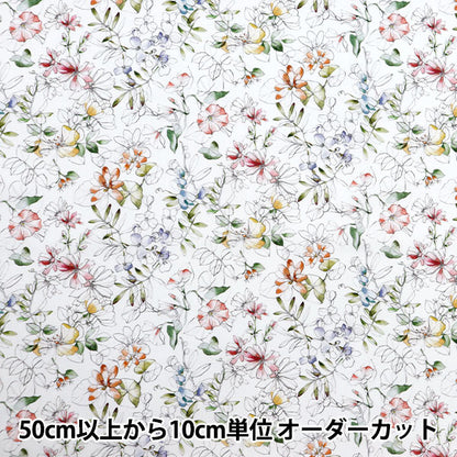 [Aus Menge 5] Stoff "Liberty Fabric Tanalone Sophie An 3634235-24Cu" Liberty Japan