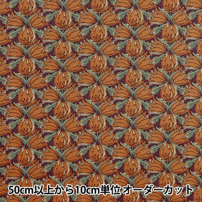 [Du 5] Fabric "Liberty tissu Tanalone Evrint Trail 3634294-24AU" Liberty Japan Liberty Japan