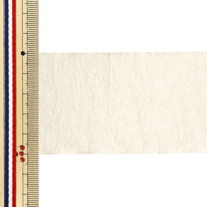 [Menge ab 5] Farbband "Hochglänzende Farbe 612 Champagnerbreite ca. 50 mm 1404" Tokyo Ribbon TokyoFarbband