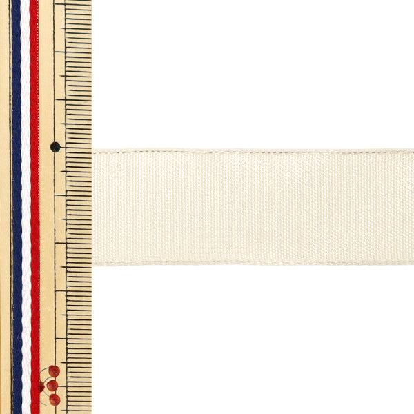 【数量5から】 リボン 『イクシーズ 幅約2.5cm 19番色1467』 AOYAMARIBBON 青山リボン