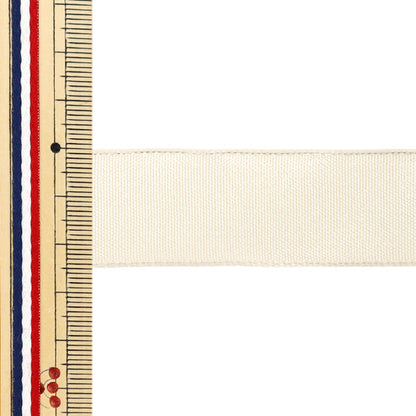 【数量5から】 リボン 『イクシーズ 幅約2.5cm 19番色1467』 AOYAMARIBBON 青山リボン