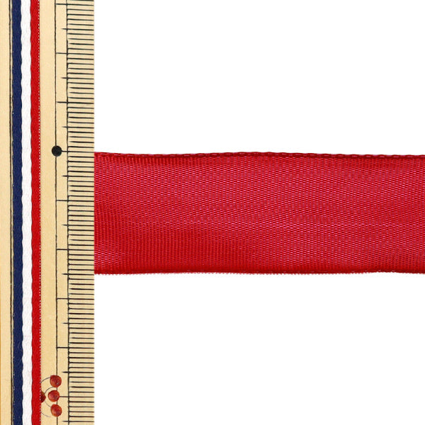 【数量5から】 リボン 『イクシーズ 幅約2.5cm 58番色1467』 AOYAMARIBBON 青山リボン