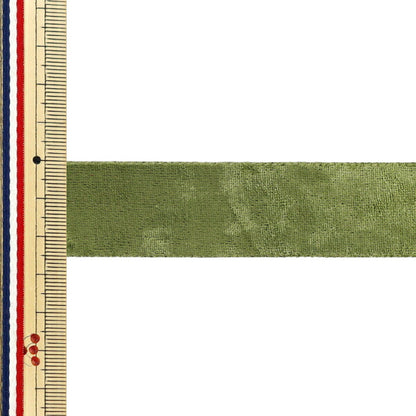 Ribbon ``VelorRibbon 2025 Approx. width 25mm x length 2m Green YRC2544-25"