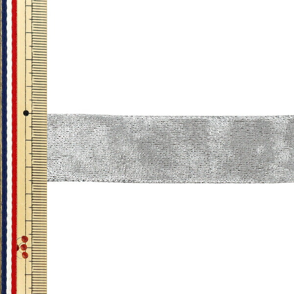 Ruban `` VeloursRuban 2025 Environ largeur 25 mm x longueur 2 m Gris YRC2544-25"