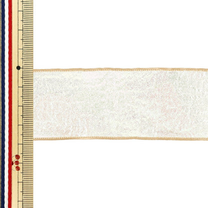 Ruban "AuroreRuban 2025 Environ largeur 38mm x longueur 2m Beige YRC2534-38"