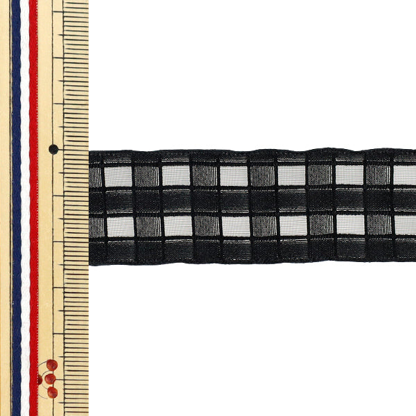 Farbband „Plattierte SpitzeFarbband 2025 Ungefähr Breite 25 mm x Länge 2 m Schwarz YRC2553-25"