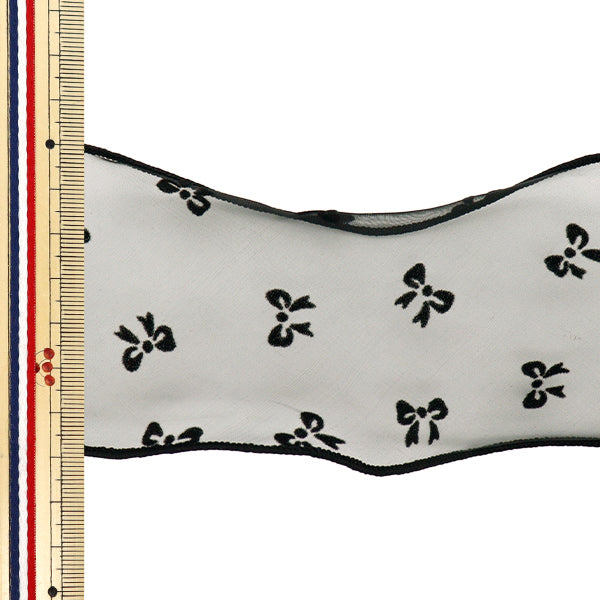 [Quantity starting from 5] Ribbon "Flocky Mesh"Ribbon Color 3 K251T-TPY15"