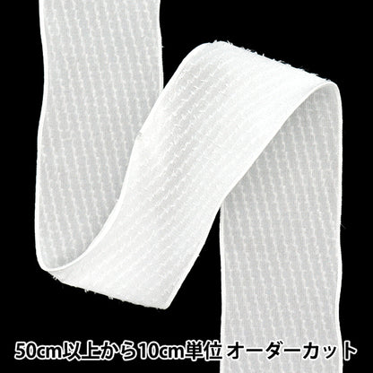 [Quantity starting from 5] Ribbon "Dot Chiffon"Ribbon Approx. 6.5cm wide, color 1st K251T-TPY14"