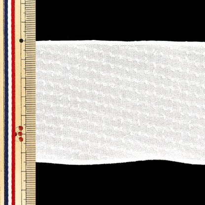 [Quantity starting from 5] Ribbon "Dot Chiffon"Ribbon Approx. 6.5cm wide, color 1st K251T-TPY14"