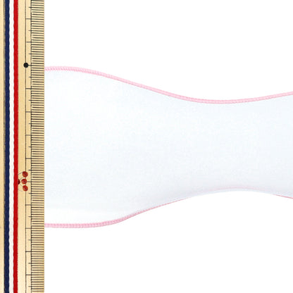 【数量5から】 リボン 『パステルオーガンジーリボン 幅約70mm 1番色 K252T-TPY2』