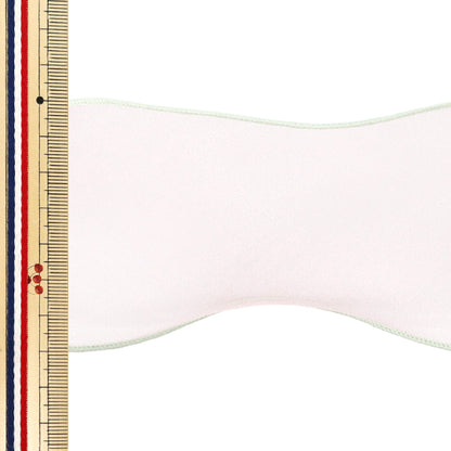 【数量5から】 リボン 『パステルオーガンジーリボン 幅約70mm 2番色 K252T-TPY2』