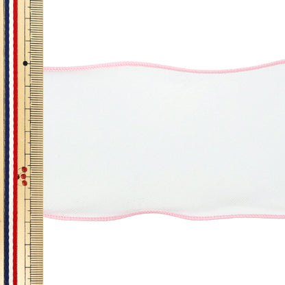 【数量5から】 リボン 『パステルオーガンジーリボン 幅約70mm 3番色 K252T-TPY2』