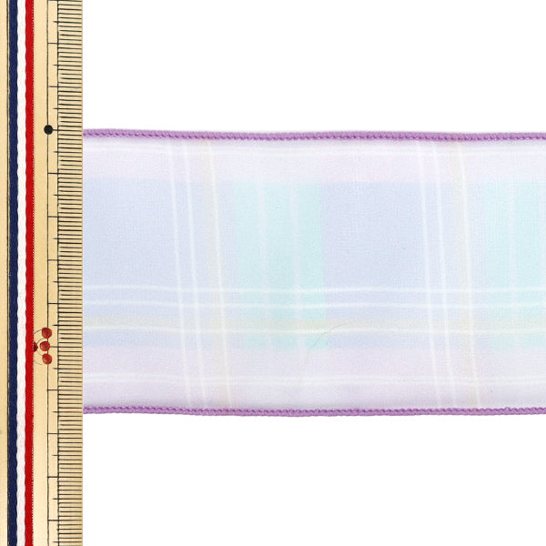 [Quantità da 5] Nastro "Assegno d'organo"Nastro Larghezza ca. 65mm Colore 1 K252T-TPY11"