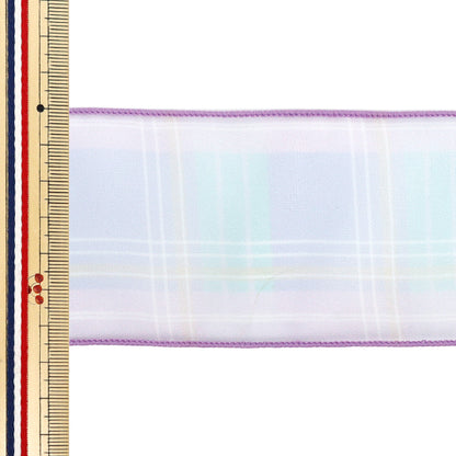 [Quantità da 5] Nastro "Assegno d'organo"Nastro Larghezza ca. 65mm Colore 1 K252T-TPY11"