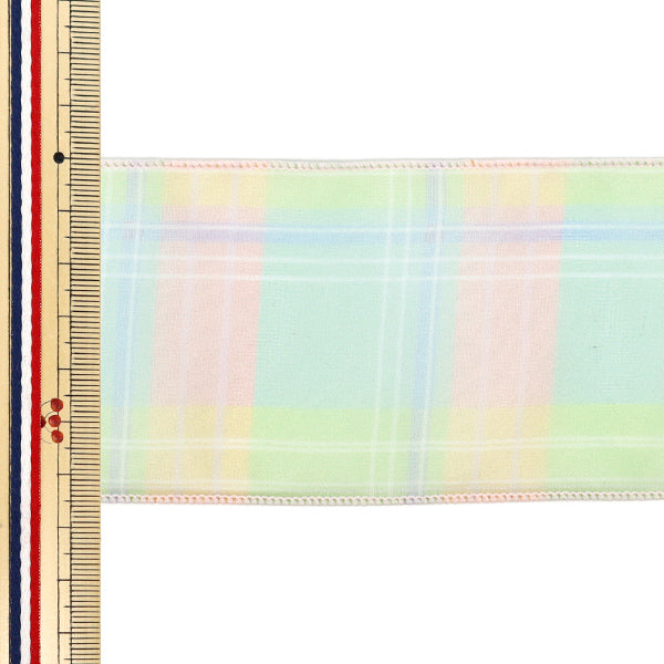 [Quantità da 5] Nastro "Assegno d'organo"Nastro Larghezza ca. 65mm 2° colore K252T-TPY11"