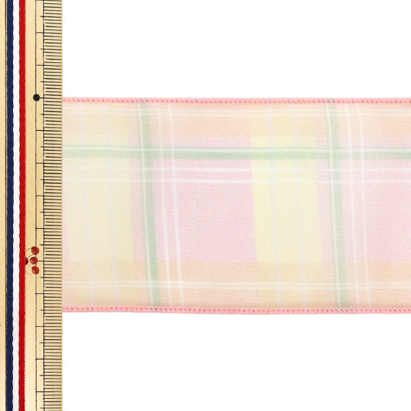 [Quantità da 5] Nastro "Assegno d'organo"Nastro Larghezza ca. 65mm 3° colore K252T-TPY11"