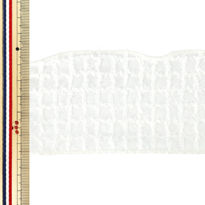 [Quantité à partir de 5] Ruban "Vérification des franges boiteusesRuban 4ème couleur K261T-TPY4”