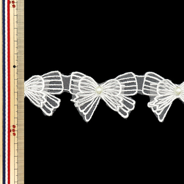 数量5から】 レースリボン 『刺繍リボンオーガンジー ホワイト DCL2440