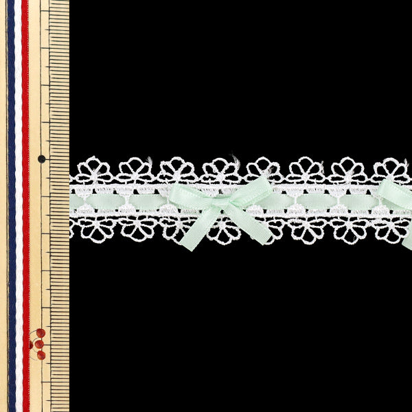 [Ab Menge 5] „Spitze“.FarbbandChemilace 2025 Breite ca. 25 mm Mint DCL2503"