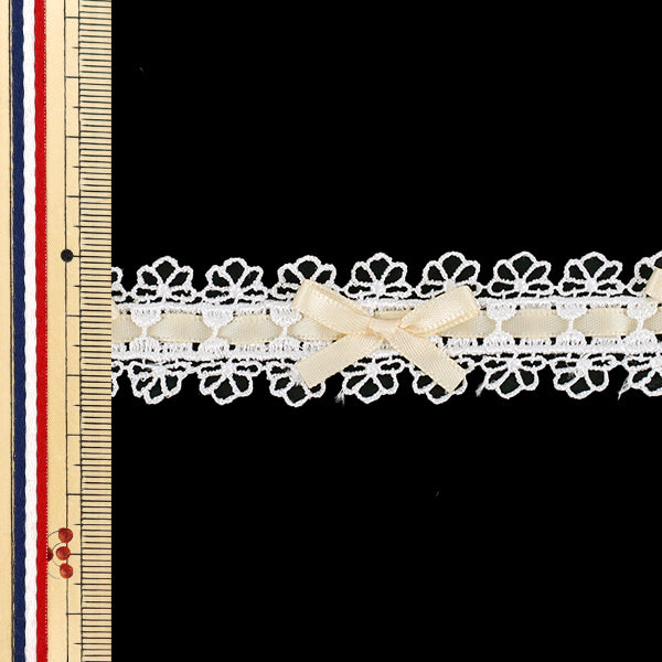 [From quantity 5] Lace ``RibbonChemilace 2025 Width approx. 25mm Ivory DCL2503"