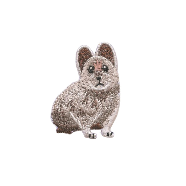 ワッペン 『ほっとけない!いきものたち 絶滅危惧種 イリナキウサギ