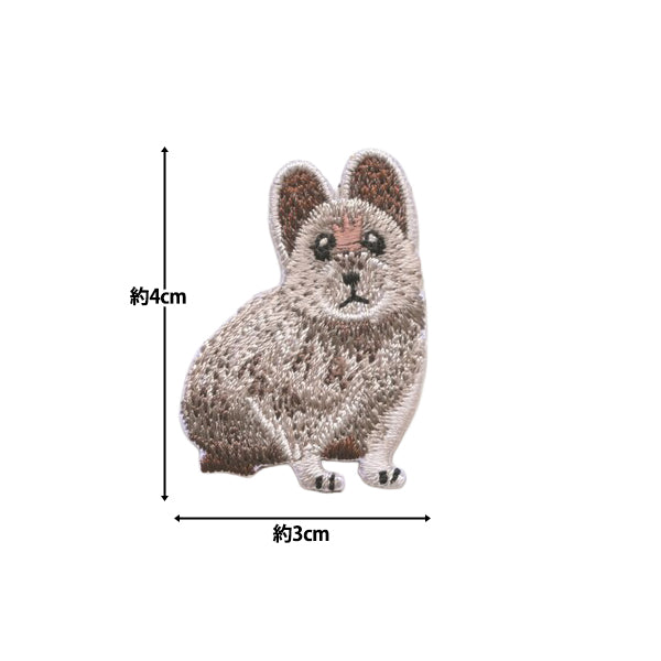 ワッペン 『ほっとけない!いきものたち 絶滅危惧種 イリナキウサギ H459-163-4』 Hamanaka ハマナカ