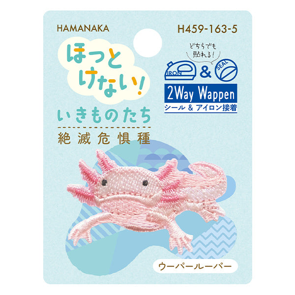 ワッペン 『ほっとけない!いきものたち 絶滅危惧種 ウーパールーパー H459-163-5』 Hamanaka ハマナカ