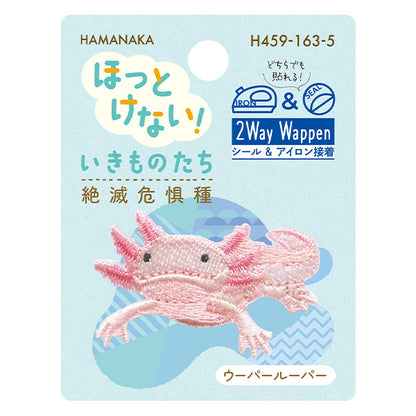 ワッペン 『ほっとけない!いきものたち 絶滅危惧種 ウーパールーパー H459-163-5』 Hamanaka ハマナカ